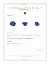 3.14 Ct. Blue Sapphire from Ceylon (Sri Lanka) Appraisal