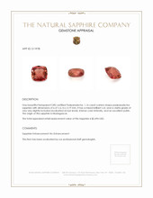 Jewelry Appraisal