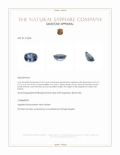 Jewelry Appraisal
