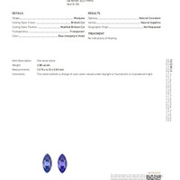 Jewelry Scan Report