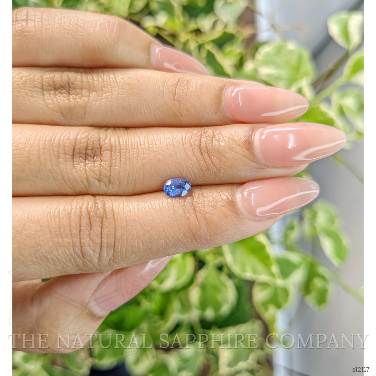 0.51 Ct. Blue Sapphire from Ceylon (Sri Lanka)