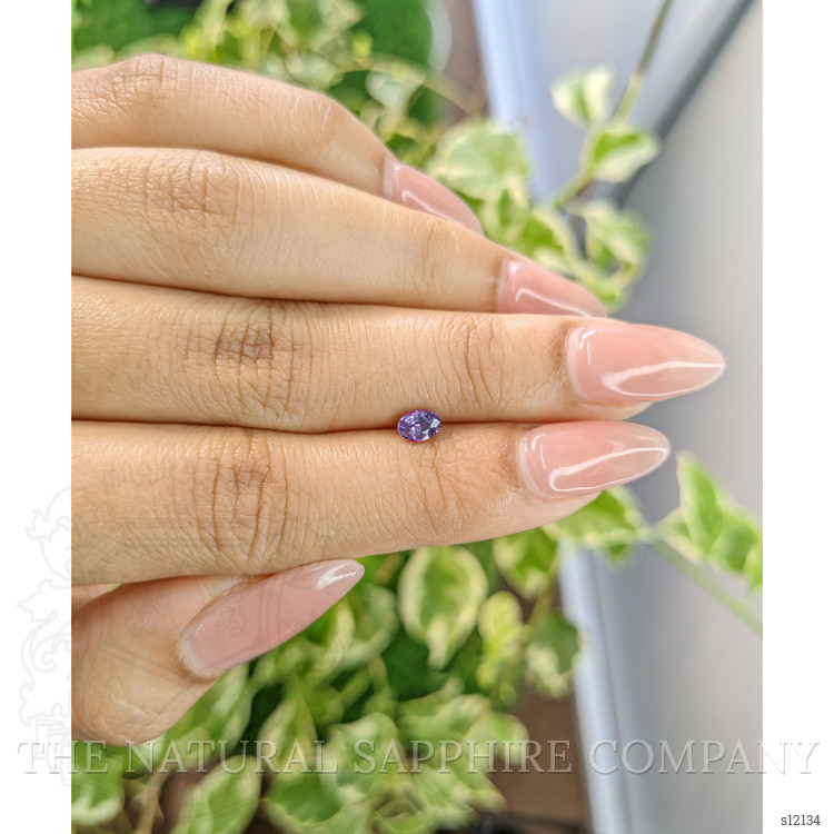 0.46 Ct. Purple Sapphire from Ceylon (Sri Lanka)
