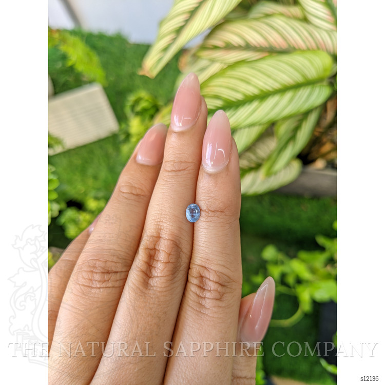0.51 Ct. Blue Sapphire from Ceylon (Sri Lanka)