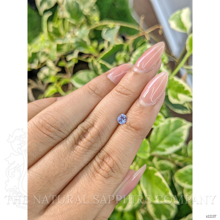 0.46 Ct. Violet Sapphire from Ceylon (Sri Lanka)