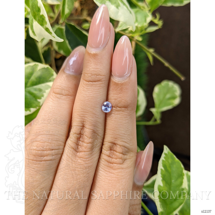 0.46 Ct. Violet Sapphire from Ceylon (Sri Lanka)