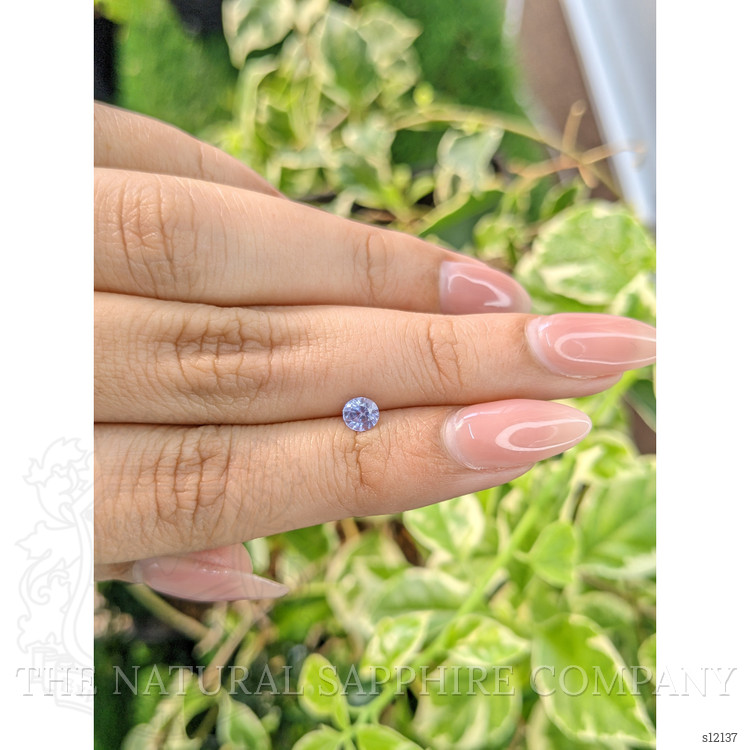 0.46 Ct. Violet Sapphire from Ceylon (Sri Lanka)