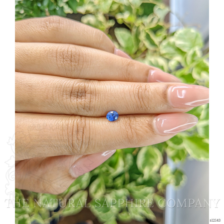 0.50 Ct. Blue Sapphire from Ceylon (Sri Lanka)