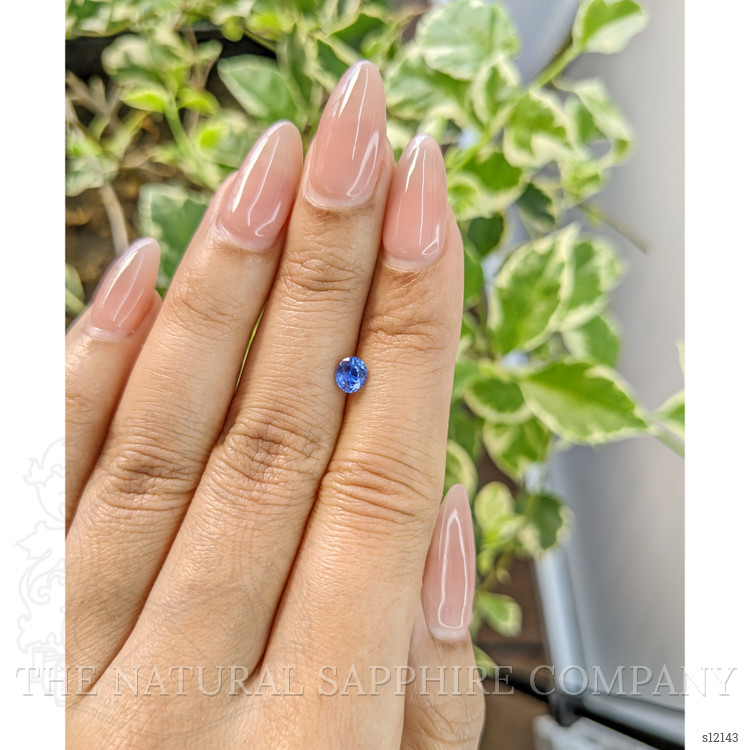 0.50 Ct. Blue Sapphire from Ceylon (Sri Lanka)