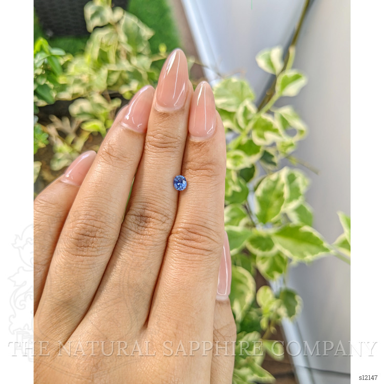 0.49 Ct. Blue Sapphire from Ceylon (Sri Lanka)