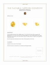 Jewelry Appraisal