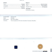 Jewelry Scan Report