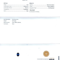 Jewelry Scan Report