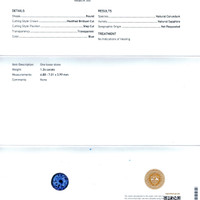 Jewelry Scan Report