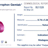 Jewelry Scan Report