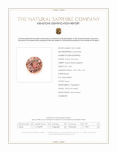 Jewelry Scan Report