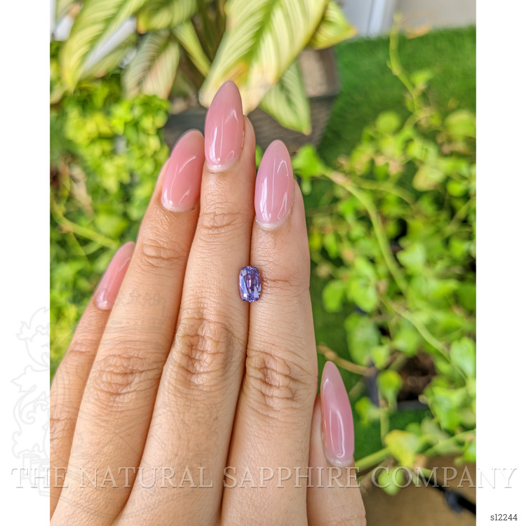 1.12 Ct. Purple Sapphire from Ceylon (Sri Lanka)