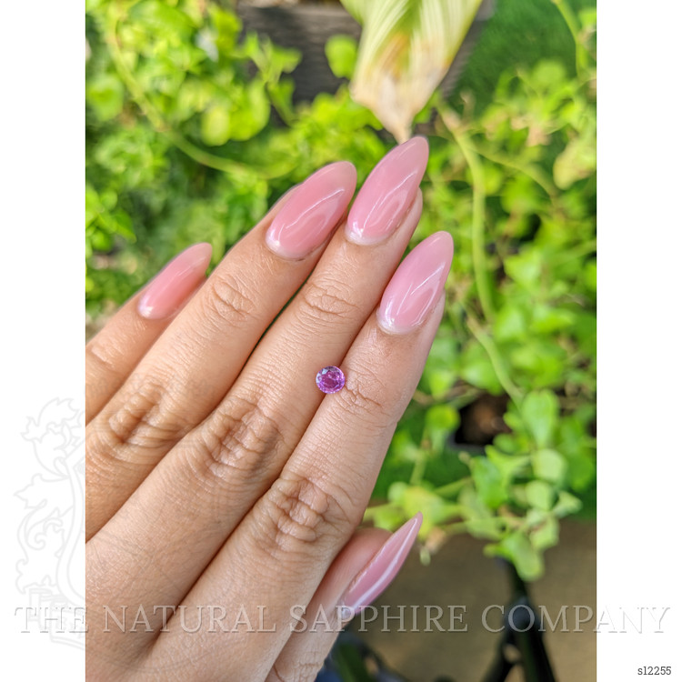 0.48 Ct. Pink Sapphire from Ceylon (Sri Lanka)