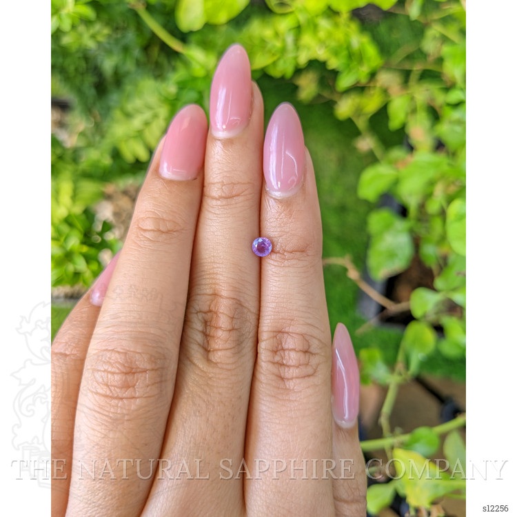 0.36 Ct. Purple Sapphire from Ceylon (Sri Lanka)