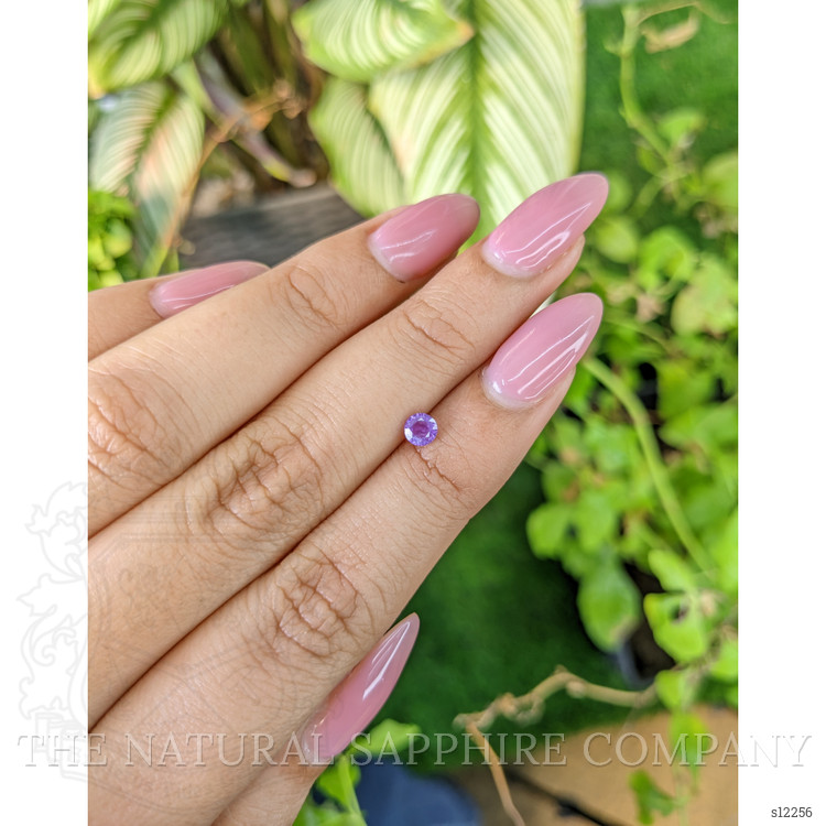 0.36 Ct. Purple Sapphire from Ceylon (Sri Lanka)