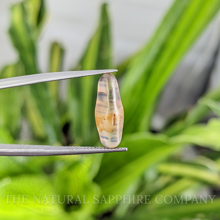 6.44 Ct. Bi Color Rough Sapphire from Ceylon (Sri Lanka)