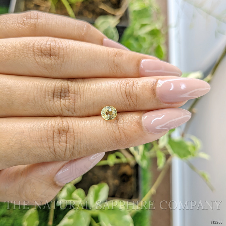 1.10 Ct. Yellow Sapphire from Ceylon (Sri Lanka)