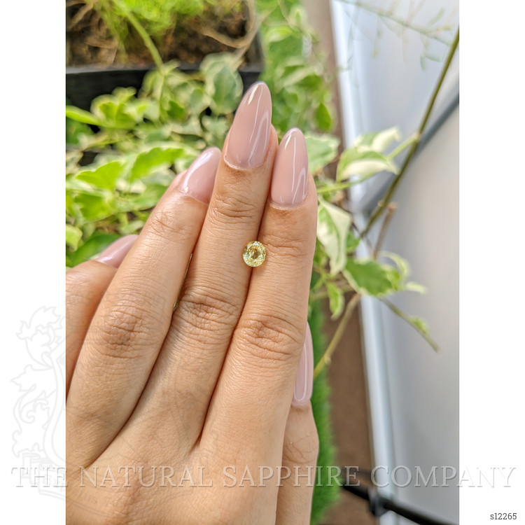 1.10 Ct. Yellow Sapphire from Ceylon (Sri Lanka)