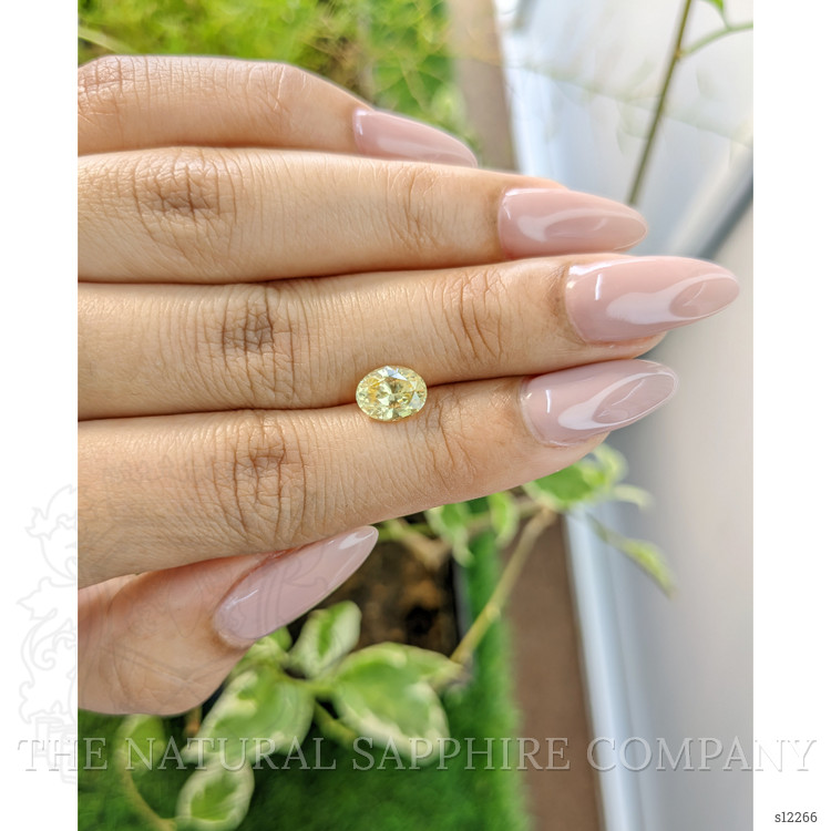 1.70 Ct. Yellow Sapphire from Ceylon (Sri Lanka)