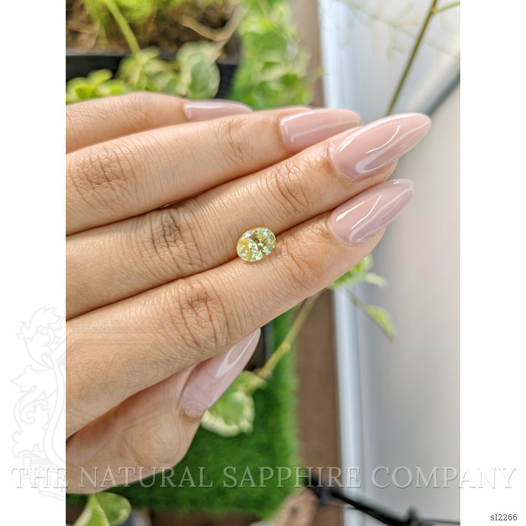 1.70 Ct. Yellow Sapphire from Ceylon (Sri Lanka)