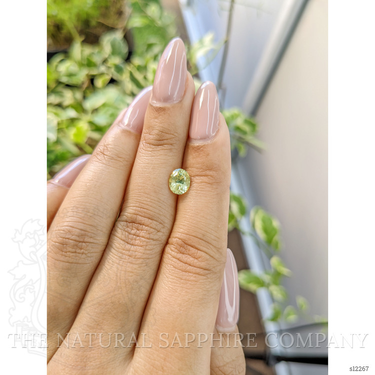 1.54 Ct. Yellow Sapphire from Ceylon (Sri Lanka)