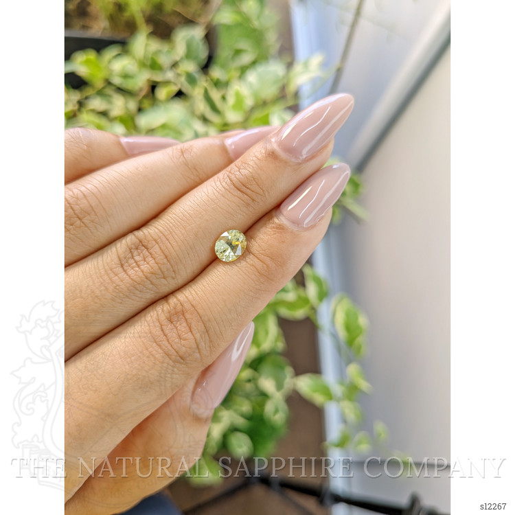 1.54 Ct. Yellow Sapphire from Ceylon (Sri Lanka)