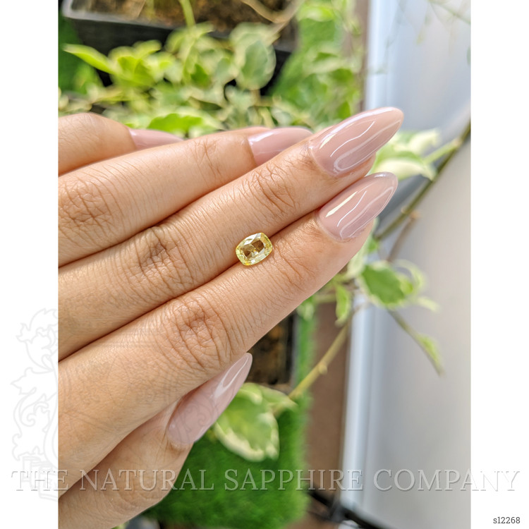 1.11 Ct. Yellow Sapphire from Ceylon (Sri Lanka)