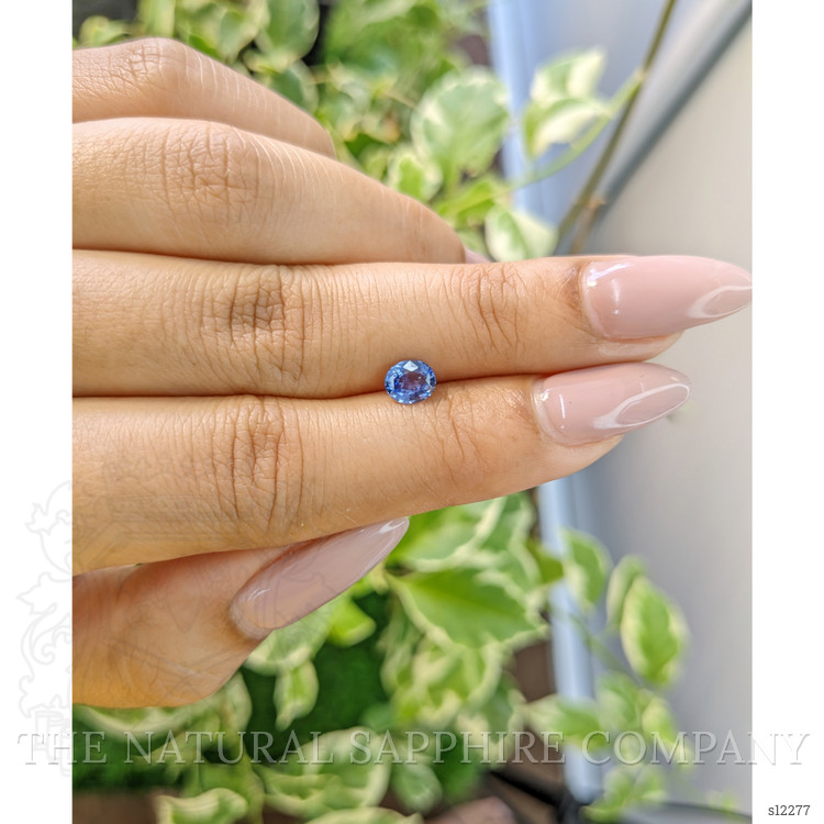 0.66 Ct. Blue Sapphire from Ceylon (Sri Lanka)