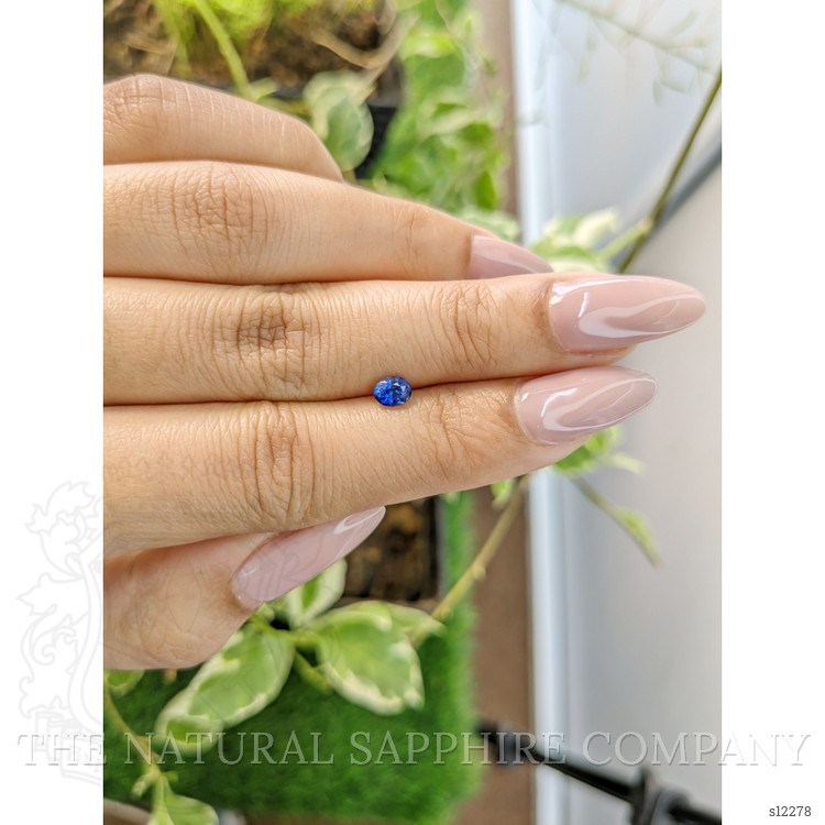 0.55 Ct. Blue Sapphire from Ceylon (Sri Lanka)