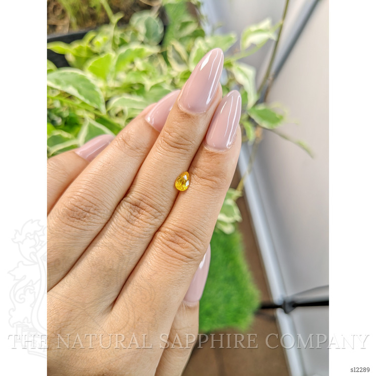 0.55 Ct. Yellow Sapphire from Ceylon (Sri Lanka)