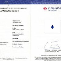 2.95 Ct. Blue Sapphire from Ceylon (Sri Lanka) Scan Report