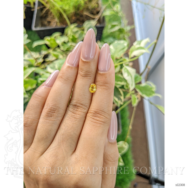 0.72 Ct. Yellow Sapphire from Ceylon (Sri Lanka)
