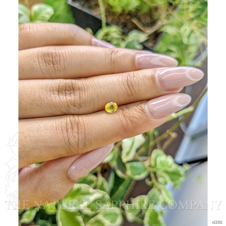 0.57 Ct. Yellow Sapphire from Ceylon (Sri Lanka)