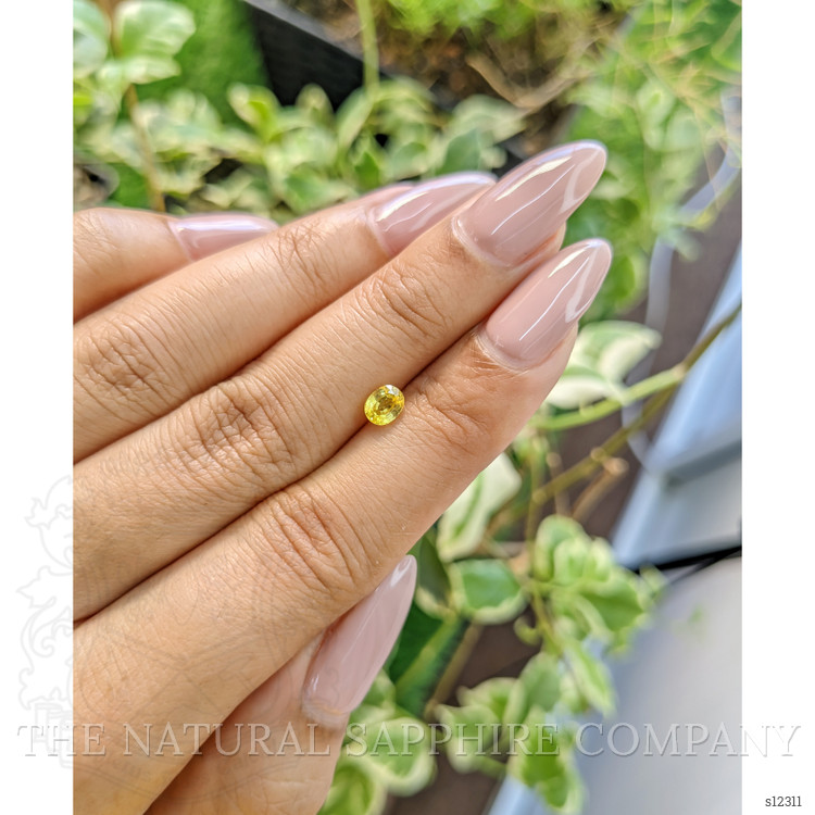 0.57 Ct. Yellow Sapphire from Ceylon (Sri Lanka)