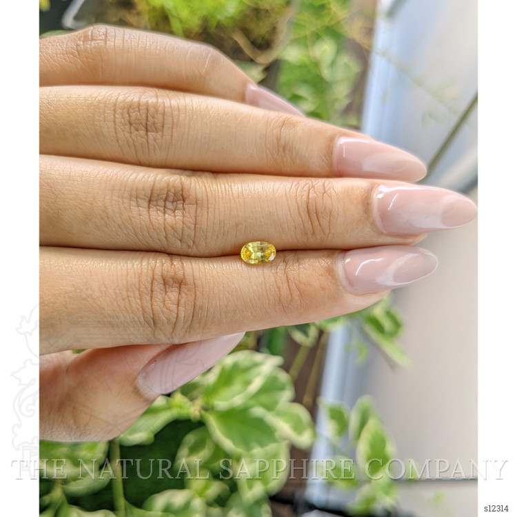 0.72 Ct. Yellow Sapphire from Ceylon (Sri Lanka)