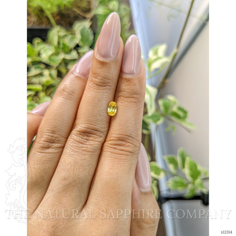 0.72 Ct. Yellow Sapphire from Ceylon (Sri Lanka)