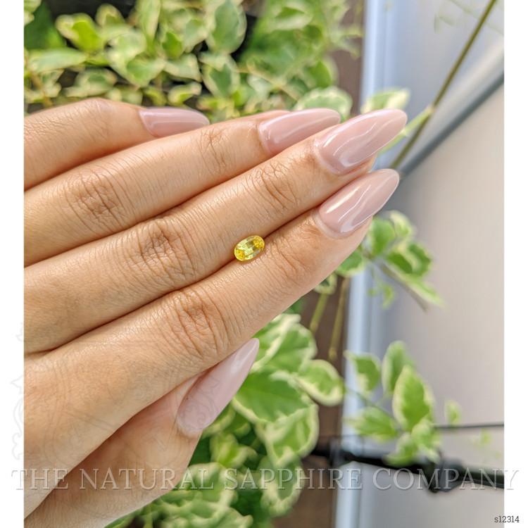 0.72 Ct. Yellow Sapphire from Ceylon (Sri Lanka)