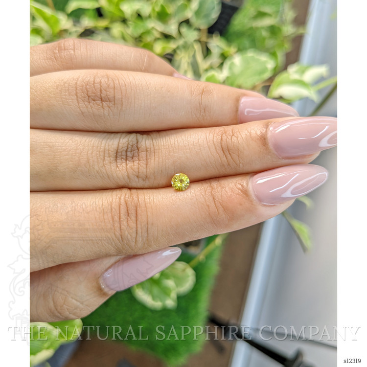 0.41 Ct. Yellow Sapphire from Ceylon (Sri Lanka)