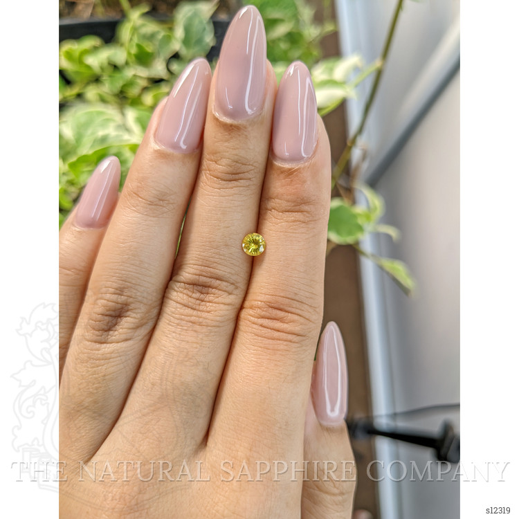 0.41 Ct. Yellow Sapphire from Ceylon (Sri Lanka)