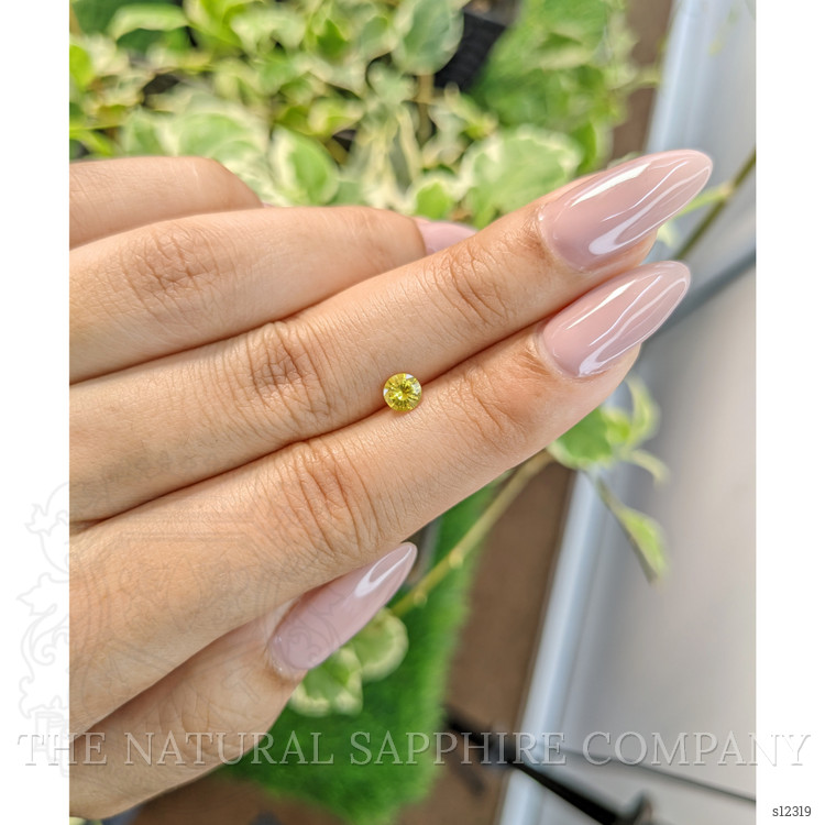 0.41 Ct. Yellow Sapphire from Ceylon (Sri Lanka)