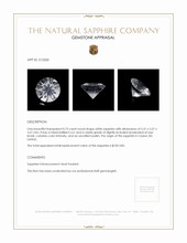 0.75 Ct. White Sapphire from Ceylon (Sri Lanka) Appraisal