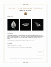 1.91 Ct. White Sapphire from Ceylon (Sri Lanka) Appraisal