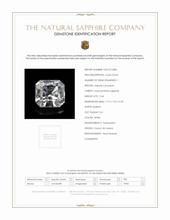 Jewelry Scan Report