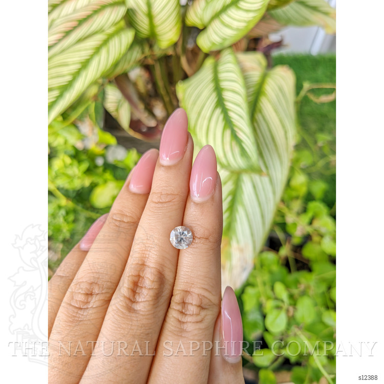 1.57 Ct. White Sapphire from Ceylon (Sri Lanka)