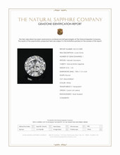 Jewelry Scan Report