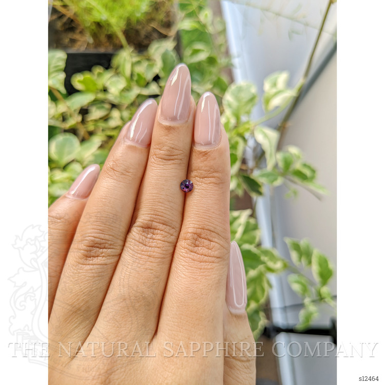 0.42 Ct. Purple Sapphire from Ceylon (Sri Lanka)